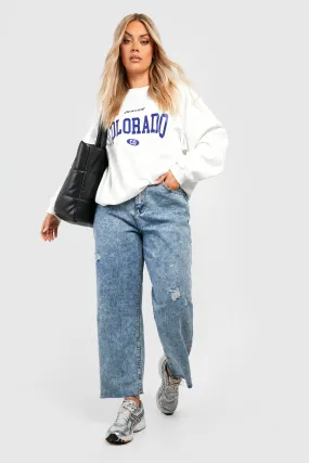 Plus Acid Wash Distressed Ankle Grazer Straight Leg Jeans